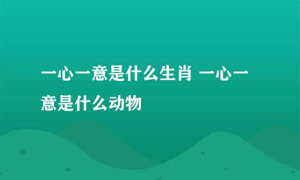 一心一意是什么生肖 一心一意是什么动物