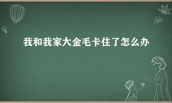 我和我家大金毛卡住了怎么办