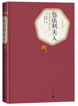 《包法利夫人》txt下载在线阅读，求百度网盘云资源