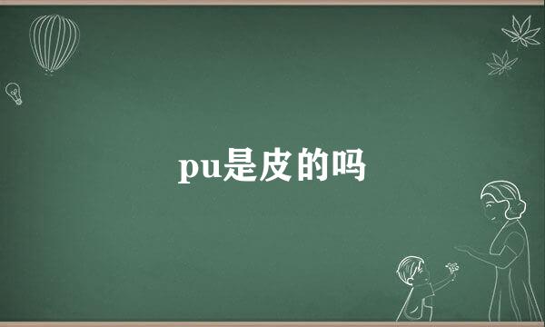 pu是皮的吗