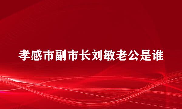 孝感市副市长刘敏老公是谁