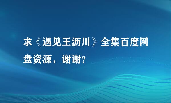 求《遇见王沥川》全集百度网盘资源，谢谢？