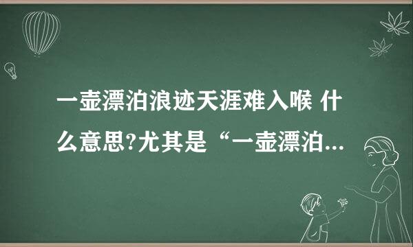 一壶漂泊浪迹天涯难入喉 什么意思?尤其是“一壶漂泊”这四个字，是什么意思？