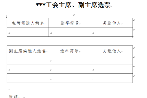 如何正确选票格式样本？