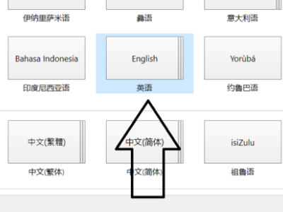 英雄联盟为什么在游戏里打的字显示不了？