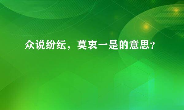 众说纷纭，莫衷一是的意思？