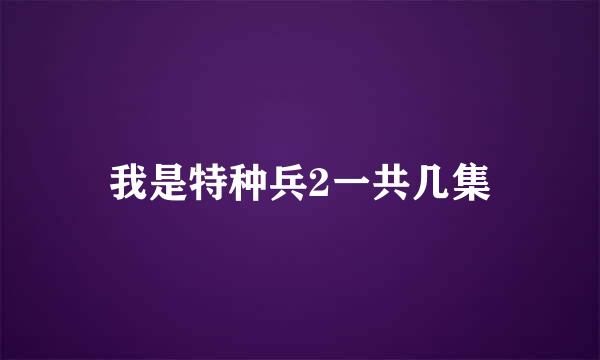 我是特种兵2一共几集