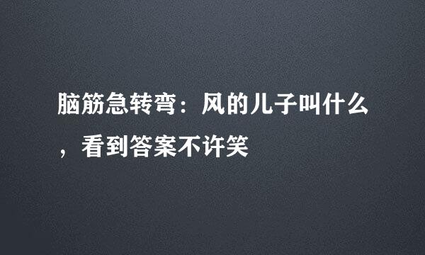 脑筋急转弯：风的儿子叫什么，看到答案不许笑