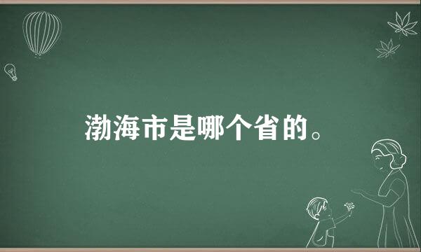 渤海市是哪个省的。