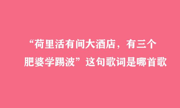 “荷里活有间大酒店，有三个肥婆学踢波”这句歌词是哪首歌