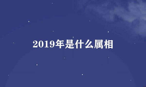 2019年是什么属相