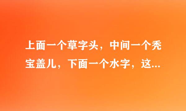 上面一个草字头，中间一个秃宝盖儿，下面一个水字，这个字念什么？