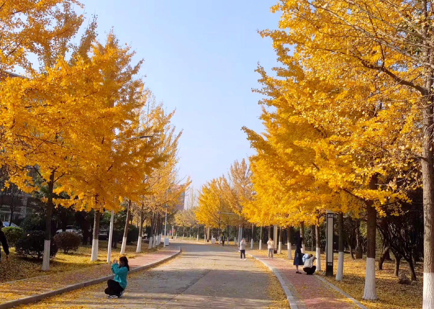 淮南师范学院怎么样