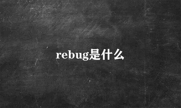 rebug是什么