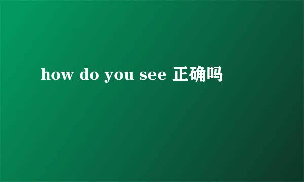 how do you see 正确吗