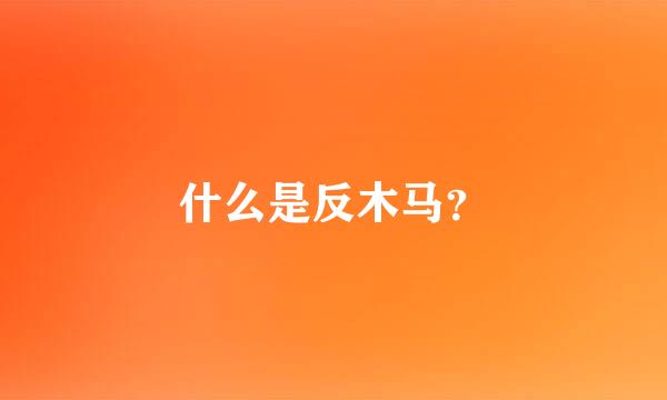 什么是反木马？