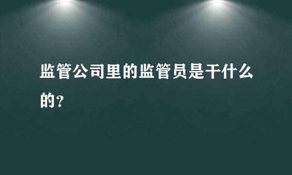 监管公司里的监管员是干什么的？