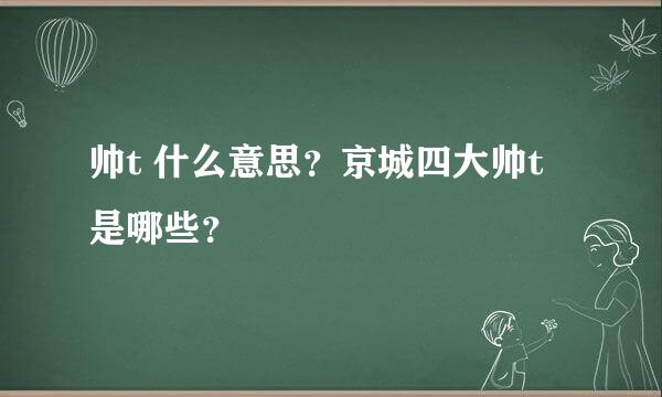 帅t 什么意思？京城四大帅t 是哪些？