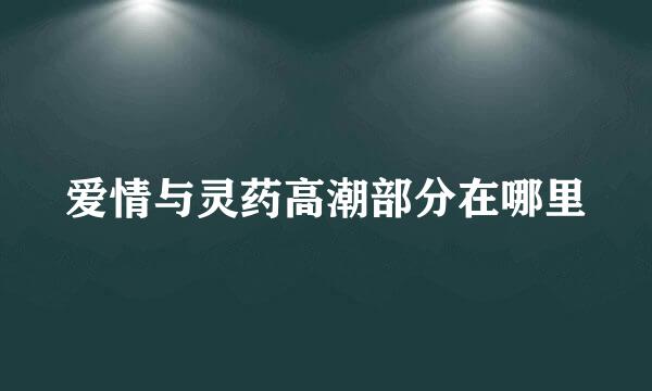 爱情与灵药高潮部分在哪里