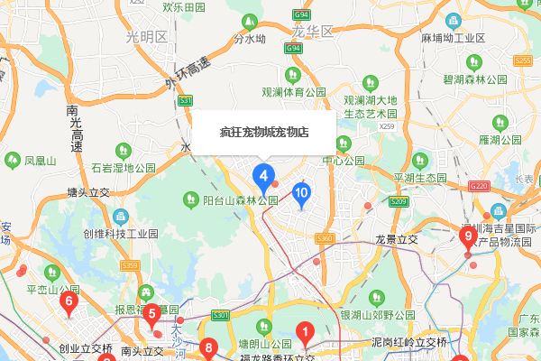 深圳最大的宠物市场在哪里？