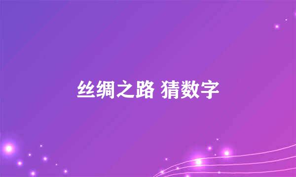 丝绸之路 猜数字