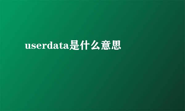 userdata是什么意思