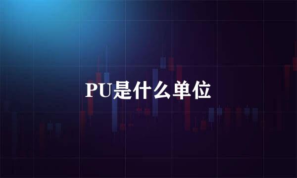 PU是什么单位