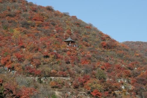 北京香山门票多少钱