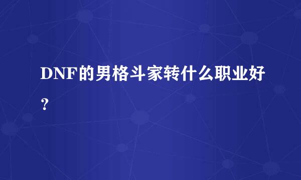 DNF的男格斗家转什么职业好？