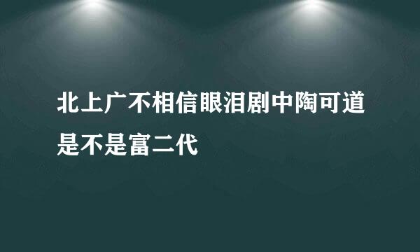 北上广不相信眼泪剧中陶可道是不是富二代