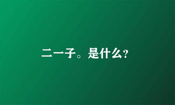 二一子。是什么？