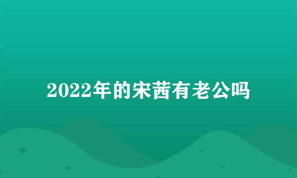 2022年的宋茜有老公吗