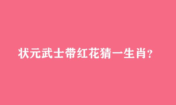 状元武士带红花猜一生肖？