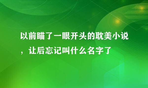 以前瞄了一眼开头的耽美小说，让后忘记叫什么名字了