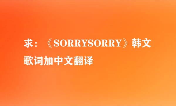 求：《SORRYSORRY》韩文歌词加中文翻译