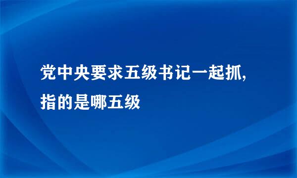 党中央要求五级书记一起抓,指的是哪五级