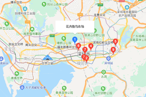 深圳最大的宠物市场在哪里？