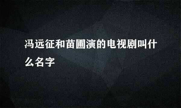 冯远征和苗圃演的电视剧叫什么名字