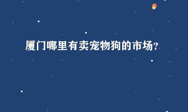 厦门哪里有卖宠物狗的市场？