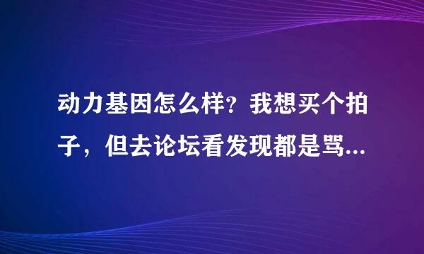 动力基因怎么样？我想买个拍子，但去论坛看发现都是骂人的和被管理员和谐的。管理员和谐手段好厉害的说...