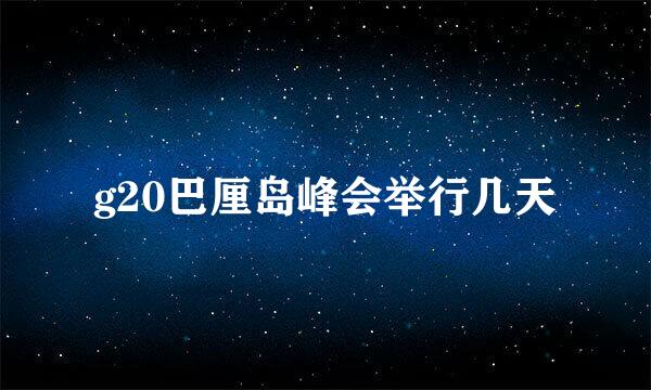 g20巴厘岛峰会举行几天