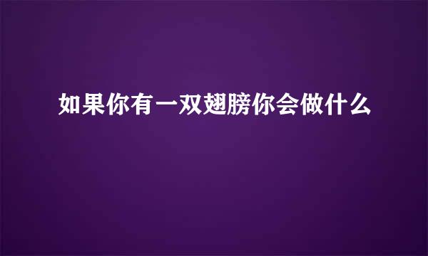 如果你有一双翅膀你会做什么