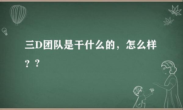 三D团队是干什么的，怎么样？?