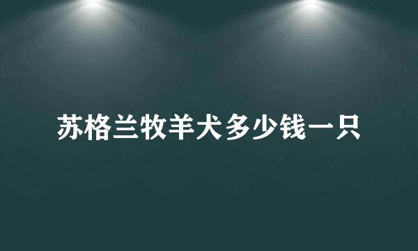 苏格兰牧羊犬多少钱一只