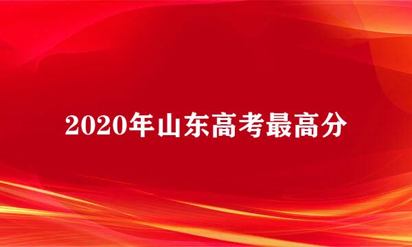 2020年山东高考最高分