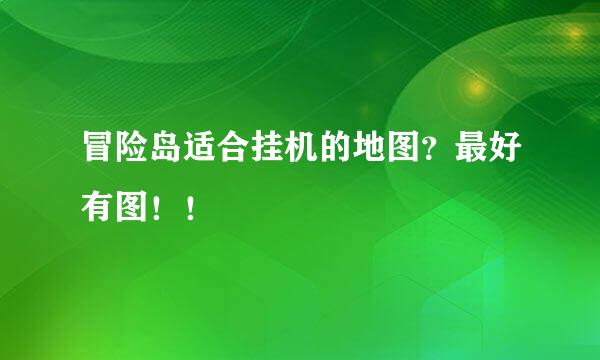 冒险岛适合挂机的地图？最好有图！！