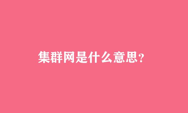 集群网是什么意思？