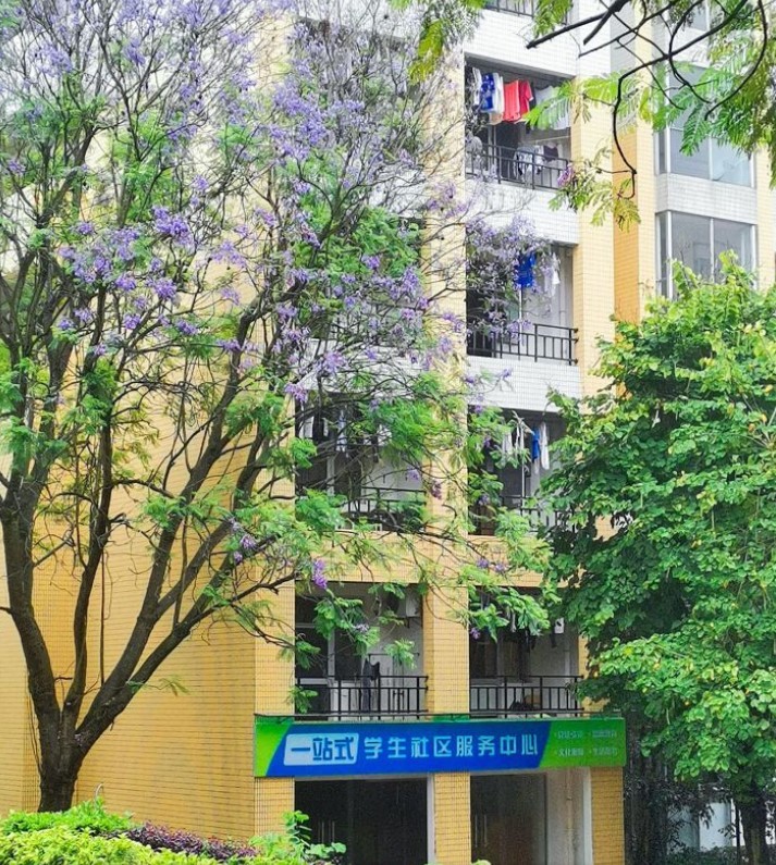 韶关学院怎么样