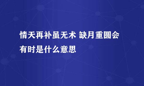 情天再补虽无术 缺月重圆会有时是什么意思