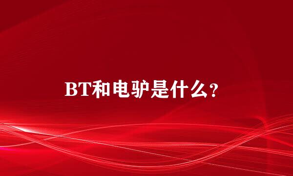 BT和电驴是什么？